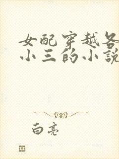 女配穿越各个做小三的小说