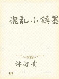混乱小镇墨池砚封面