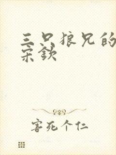 三只狼兄的宠妻宋钦