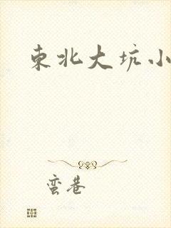 东北大坑小说