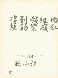 得到超级肉禽系统的紫岭红山