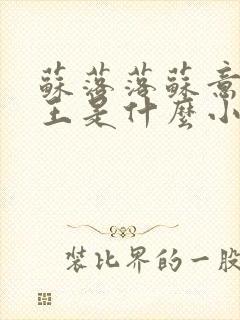 苏落落苏意瑶睿王是什么小说封面