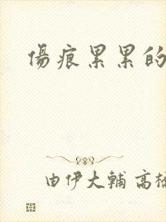 伤痕累累的勋章