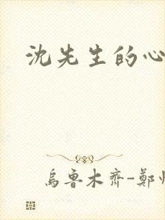 沈先生的心头宝封面