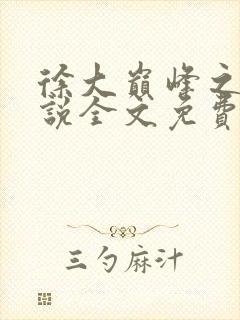 徐大巅峰之路小说全文免费阅读