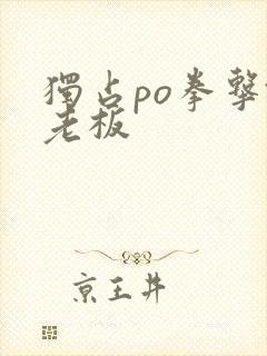 独占po拳击馆老板