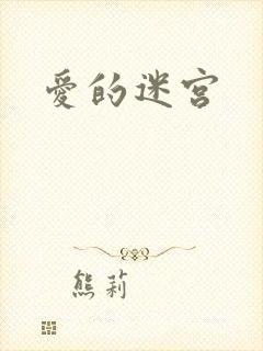 爱的迷宫