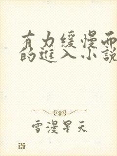 有力缓慢而坚定的进入小说