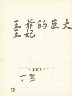 王爷的巨大进入王妃