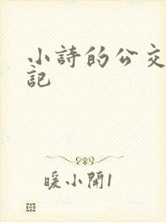 小诗的公交车日记