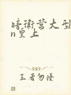 暗卫营大型hpn皇上