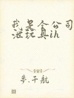 我是全公司的发泄玩具ih