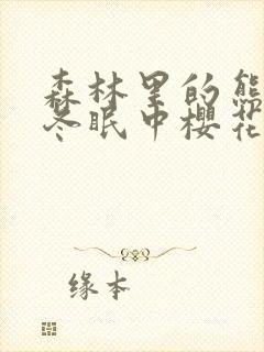 森林里的熊先生冬眠中樱花动漫