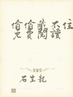 偷偷藏不住小说免费阅读