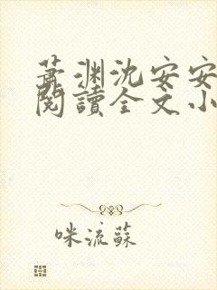 萧渊沈安安免费阅读全文小说