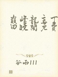 巅峰龙主丁长顺田晓兰免费阅读