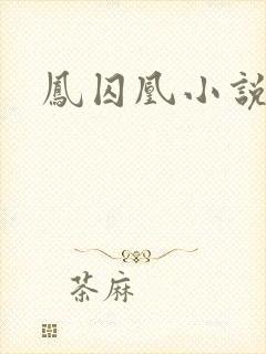 凤囚凰小说封面