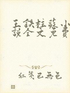 王铁柱苏小汐小说全文免费阅读最新章节