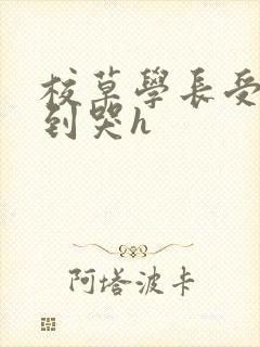 校草学长受被做到哭h