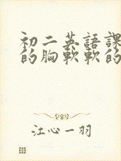 初二英语课代表的胸软软的