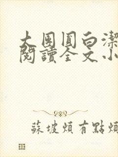 大团圆白洁免费阅读全文小说