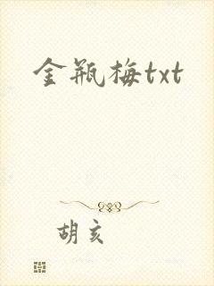 金瓶梅txt