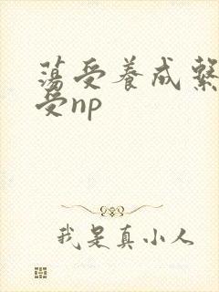 荡受养成系统总受np