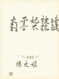 太子妃被暗卫C到合不拢腿