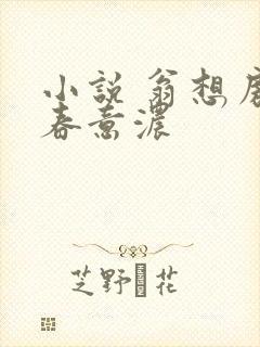 小说 翁想房中春意浓