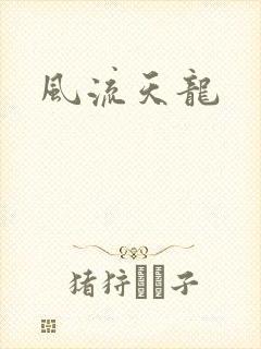 风流天龙