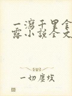 一泻千里金银花露小说全文免费阅读