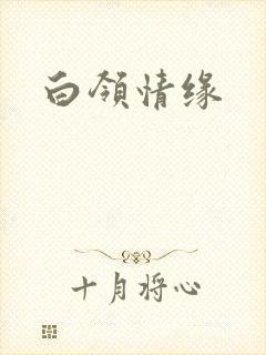 白领情缘