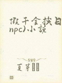 假千金挨日记(npc)小说