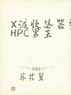 X液收集器系统HPC男主