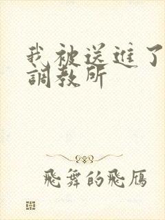 我被送进了私奴调教所