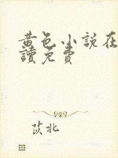 黄色小说在线阅读免费