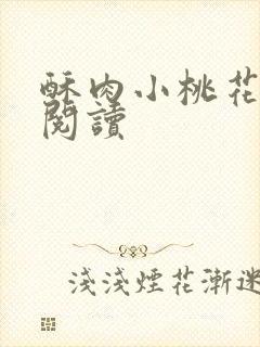 酥肉小桃花全文阅读