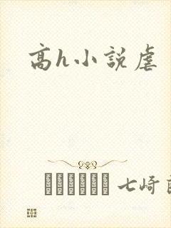 高h小说虐