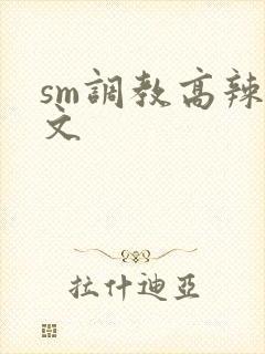 sm调教高辣h文封面