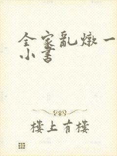 《全家乱炖一锅烩小书》小说封面
