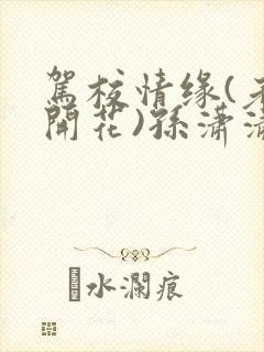 驾校情缘(老树开花)孙潇潇第一次趣笔阁