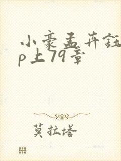 小豪孟卉钰慧三p上79章