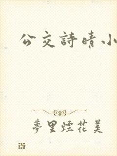 公交诗晴小说
