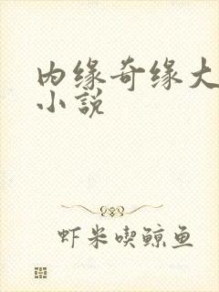 内缘奇缘大团圆小说