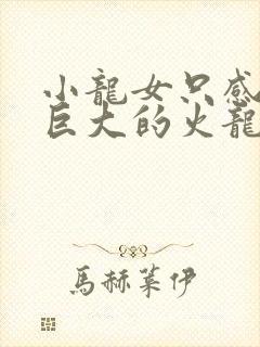 小龙女只感觉那巨大的火龙枪