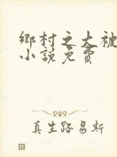 乡村之大被同眠小说免费