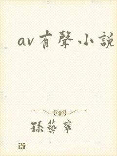 av有声小说