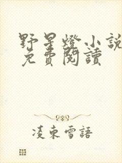 野星灯小说全文免费阅读