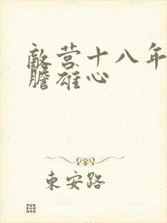 敌营十八年2虎胆雄心