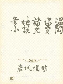 爹地请你温柔点小说免费阅读